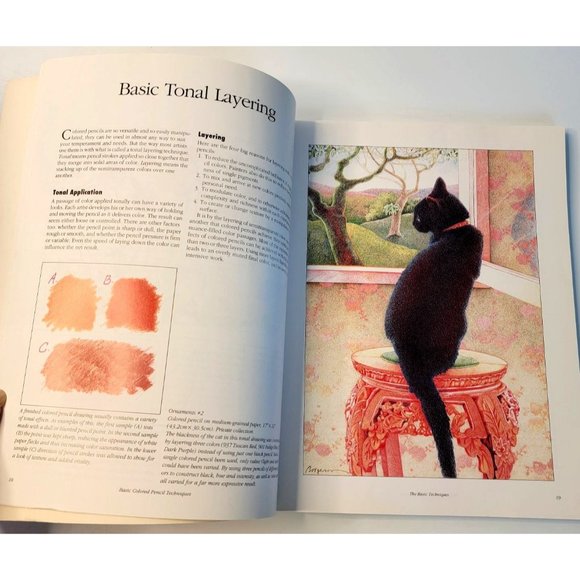 Book Basic Colored Pencil Techniques By Bet Borgeson 1997 - Picture 5 of 6